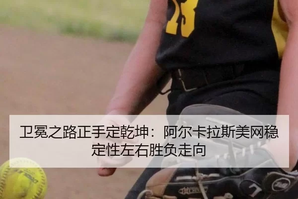 wei-mian-zhi-lu-zheng-shou-ding-qian-kun-a-er-ka-la-si-mei-wang-wen-ding-xing-zuo-you-sheng-fu-zou-xiang-3-437.jpg